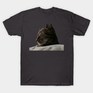 Sleeping Tabby T-Shirt